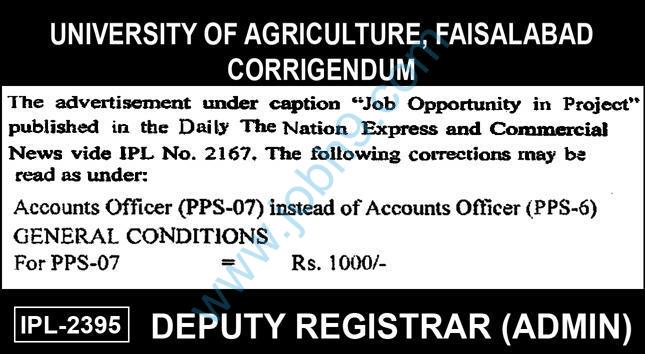 UAF University Of Agriculture Faisalabad Jobs