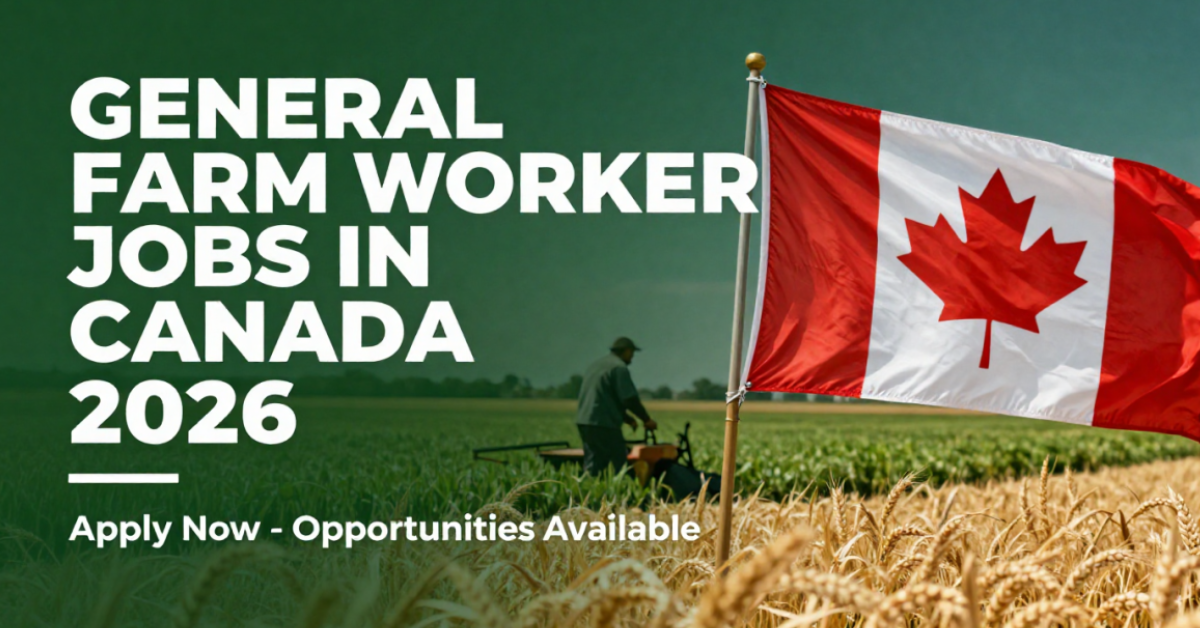 Canada Work Visa Guide